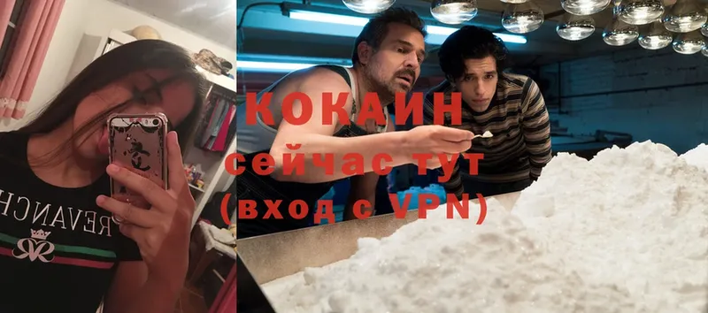 купить  цена  Сорск  Cocaine Эквадор 